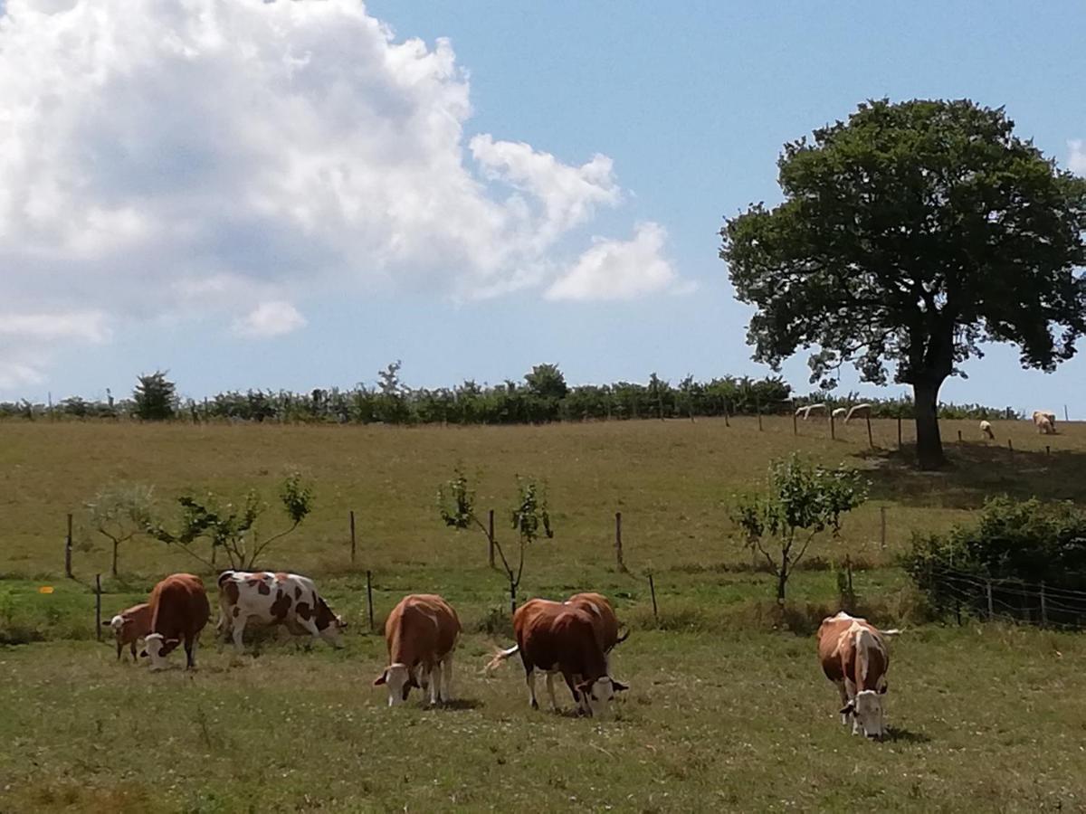 Valle Del Poggio Nocera Umbra Exteriér fotografie