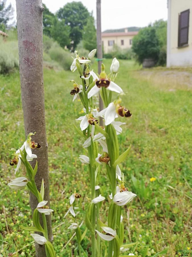 Valle Del Poggio Nocera Umbra Exteriér fotografie